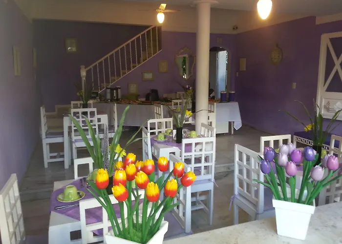 Hotel Pousada Papaya Verde Salvador